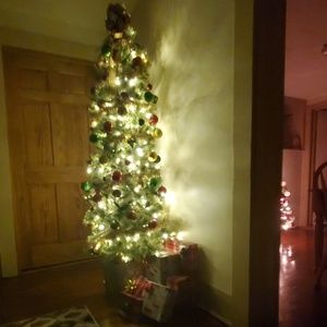 Meet your Posher, Sammy